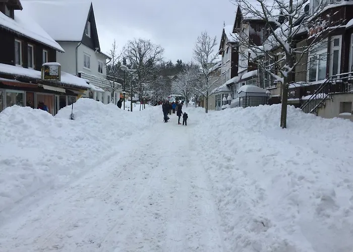 Haus Landmann Goslar
